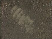 No detail is too small when thinking about a slab that is about to be polished. Previously unseen bootprints will appear after a concrete floor is polished.