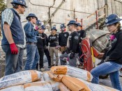 Participants of Concrete Preservation Institute field school help to preserve Alcatraz Island.