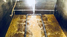 Facultative anaerobe bacteria is light brown with an earthy smell. Sludge process fluid doesn’t discharge hydrogen sulfide gas or odors at start-up, during operation, and after stabilization of the colony.