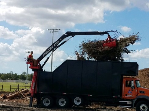 Most of the 564,866 cubic yards of vegetation that was collected was taken to a dairy farm that’s permitted to use it for composting.