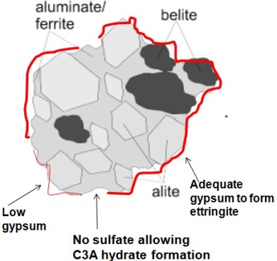 Figure 2 - Cement grain with different layer thicknesses of inter-ground gypsum (red line); sub-microscopic areas on the cement surface lacking gypsum allow direct hydration of C3A to form C3A hydrate.