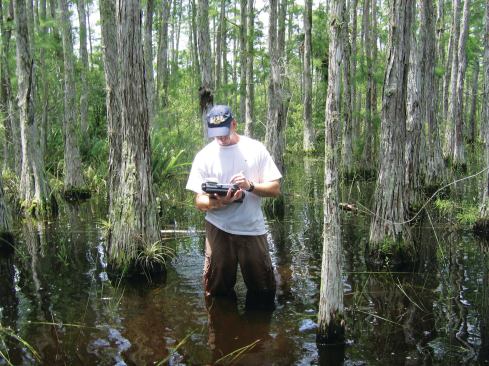 Stephen Osiecki uses GPS-equipped GIS mobile data collection tools to collect field data in a cypress swamp.