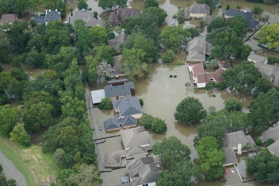 Speculators are driving a new economy in Houston suburbs hit hard by Hurricane Harvey and its disastrous flooding.