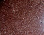 Plastic shrinkage cracks do not affect the quality of the slab.