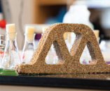 Scientists at the University of Colorado Boulder created a bio-designed block using microbial builders. (Photo from the CU Boulder College of Engineering & Applied Science)