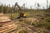 Compared to many other building materials, harvesting and milling framing lumber releases relatively little carbon. But most lumber also requires removing trees that could still be capturing carbon if left in the forest. In addition, leaving the roots and branches of cut trees to rot in the forest contributes to atmospheric carbon. The combined impacts make wood a less than optimal material for lowering a building's carbon footprint.