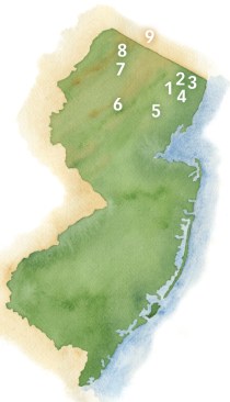 GARDEN STATE GIANT: Kuiken Brothers is the biggest full-service lumberyard based in New Jersey. It began in 1912 in Fair Lawn (1) and remained a one-store operation until 1990. Since then, it has expanded to include lumberyards in Midland Park (2) and Emerson (3), the Elmwood Supply commercial products store in Garfield (4), a lumberyard in Roseland (5), a stand-alone showroom and adjacent lumberyard in Succasunna (6), and lumberyards in Ogdensburg (7), Wantage (8), and its one New York State facility, Warwick (9).