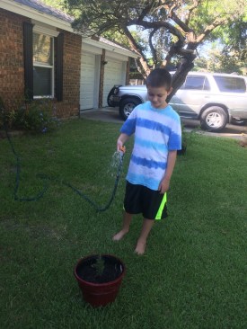 As part of the “What Can A Tree Be” program, teachers, school staff, and students each went home with a tree sapling and a handout with information about the sapling’s attributes and care instructions.